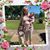 Glenda Parnell Powell's profile image
