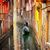 Chiara Carlet-May's profile image