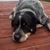 Donna Pantano Rodgers's profile image