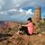Katherine Driscoll's profile image