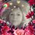 Vergie Witthoff's profile image