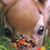 Fabiola Campos Blanco's profile image