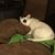 Jacquelyn Prince's profile image