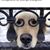 John Schantz's profile image