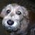 Trish Wiestling's profile image
