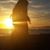 Michelle Greene's profile image