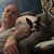 David Adamo's profile image