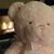 Tammy Holbrook Wilson's profile image