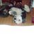 George N Cindy Seals's profile image