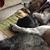 Tammy Roberts's profile image