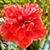 Stephanie Garrett's profile image