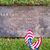 Tracy Goettsch's profile image