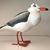 Paul Verjus's profile image