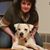 Katie Mosbrucker Wynstra's profile image