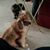 Dawn Bullemer's profile image