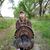 Jared Jessica Courtney's profile image
