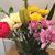 Joann Furci Marino's profile image