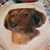 Missy Hernandez Walker's profile image