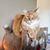 Linda Campbell's profile image