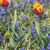 Darlene Stevenson Martin's profile image