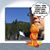 Doug Erickson's profile image