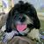 Rosa Wright's profile image