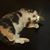 Bobbie B Dot Reaves's profile image