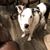 Philip P Wilson's profile image