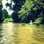 Mary Kaman's profile image