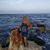 Judith Gattorno's profile image