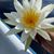 Nancy AnnMarie's profile image