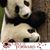 Beth Perkett Huiskins's profile image