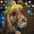 Lisa Silvestri's profile image