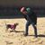 Tomer Yehoshua Sandak's profile image