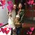 Blanca E. Caley's profile image