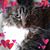 Tami Benado Skinner's profile image
