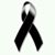 Perla Estevez Elvira's profile image