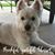 Christine Kaehler's profile image