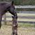 Tracy Vedros Casler's profile image