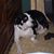 Joseph L. Anselment Jr.'s profile image