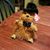Tammy Compton's profile image
