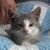 Donna Foote's profile image