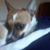 Carrie Pasley's profile image