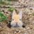 Karen Schilling-Hensley's profile image