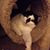 Judith Rayhon's profile image