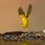 Lucas Garcia's profile image