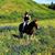 Lorie Teel's profile image