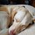 Marcie Shumway's profile image