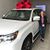 Shala Woodrow Holman's profile image