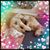 Judy Safferman Justus's profile image